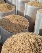 Premium Soybeans view 3