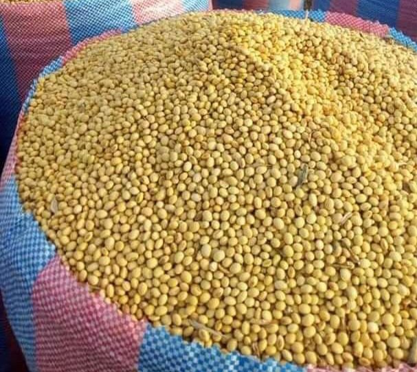 Soybeans view 2