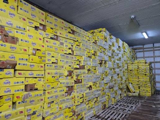Sanitary Pads – Premium Brands Bulk Wholesale Supply view 2