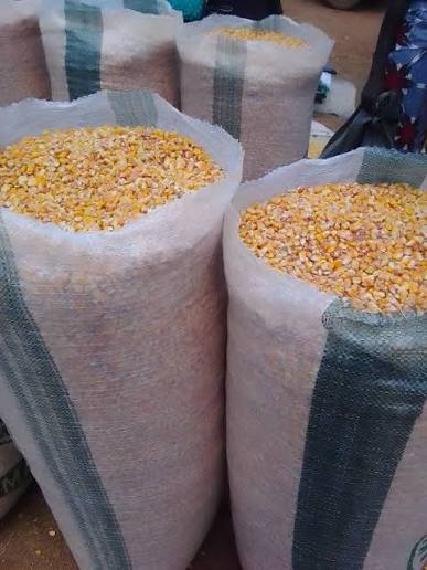 Yellow Corn - Silver Food GmbH Germany Grains & Cereals