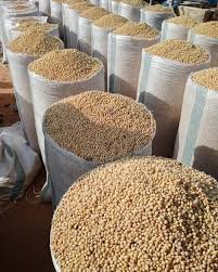 Premium Soybeans - Silver Food GmbH Germany Grains & Cereals