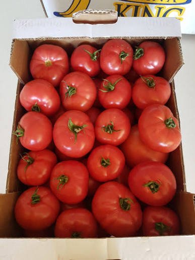 Processed Tomatoes ( per basket ) - Silver Food GmbH Germany Processed Food