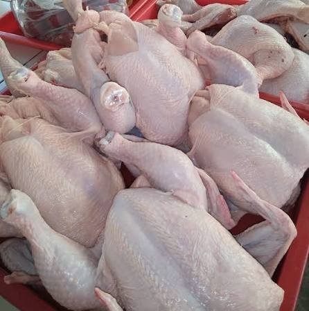 1 Carton Farm Fresh Frozen Whole Chicken | 66 Cartons per tonnes - Silver Food GmbH